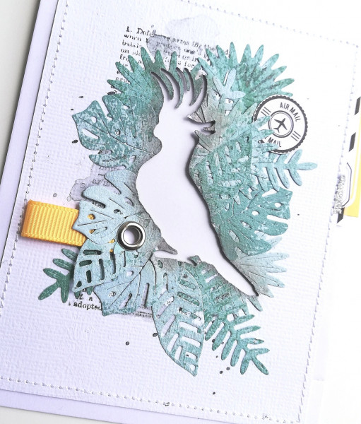 Long Courrier Die Perruche - visuel 4