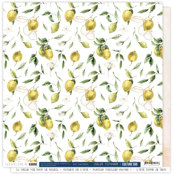 Culture Sud Pack 6 papiers imprimés + 1 calque - visuel 4