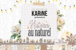 LES COLLECTIONS