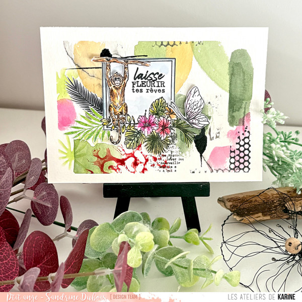 Pura Vida Clears Animaux - visuel 5