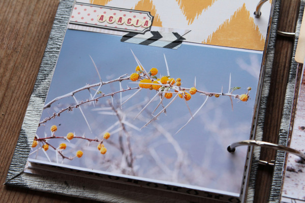 Tutoriel Mini Album Ethnique - visuel 6