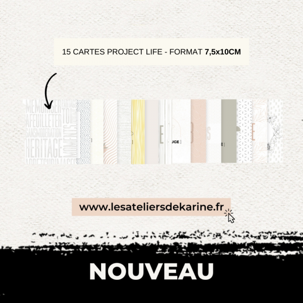 Raconte moi 2023 15 cartes Project Life 7,5x10cm