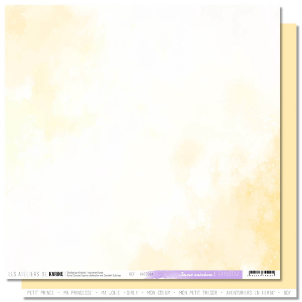 Rainbow Lot de 6 papiers Back to Basics - visuel 5
