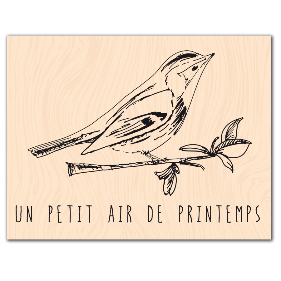 SE_METTRE_AU_VERT_Un_petit_airKAT0403.jpg