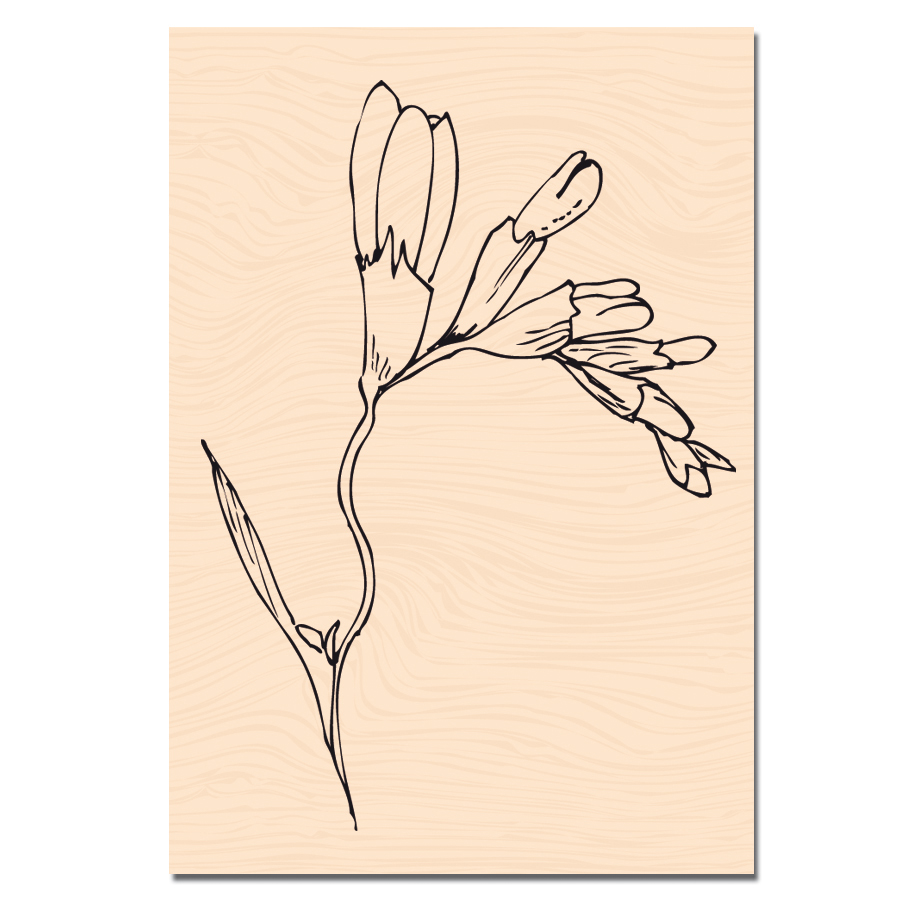 KAT0109_Fleur_de_Freesia.jpg