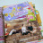 Tutoriel Mini Album Eté indien